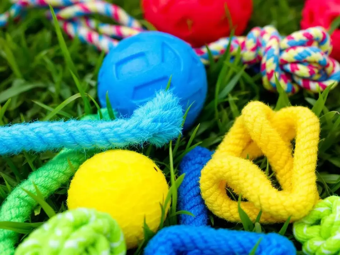 A vibrant collection of dog toys is displayed on lush green grass, featuring red, blue, yellow, and green balls...