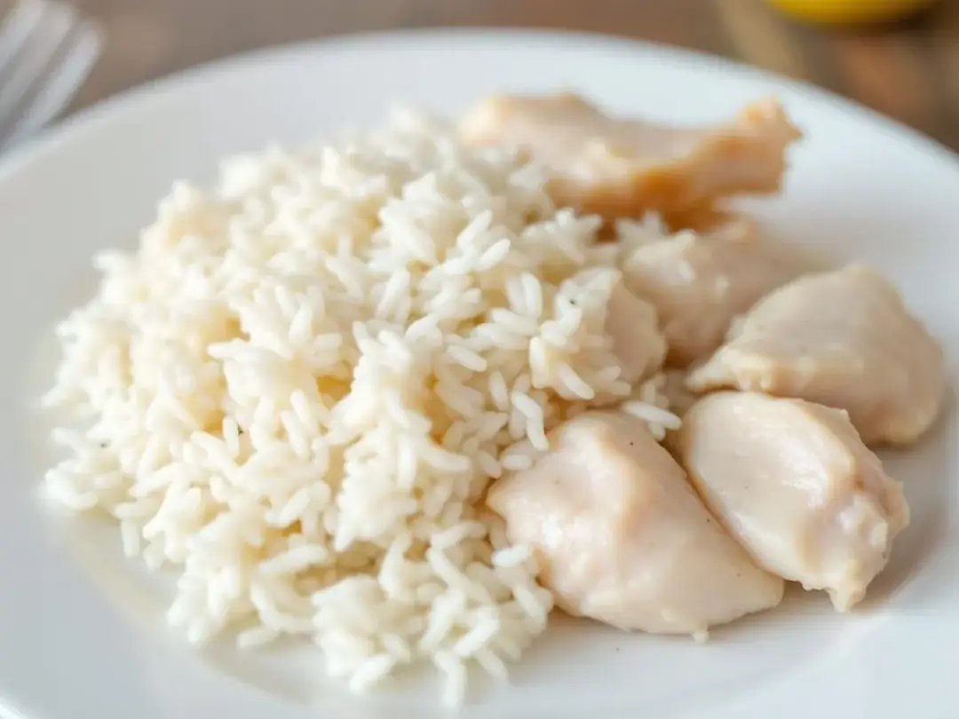 A plate displays a bland diet consisting of boiled chicken and white rice, which is often recommended for dogs...