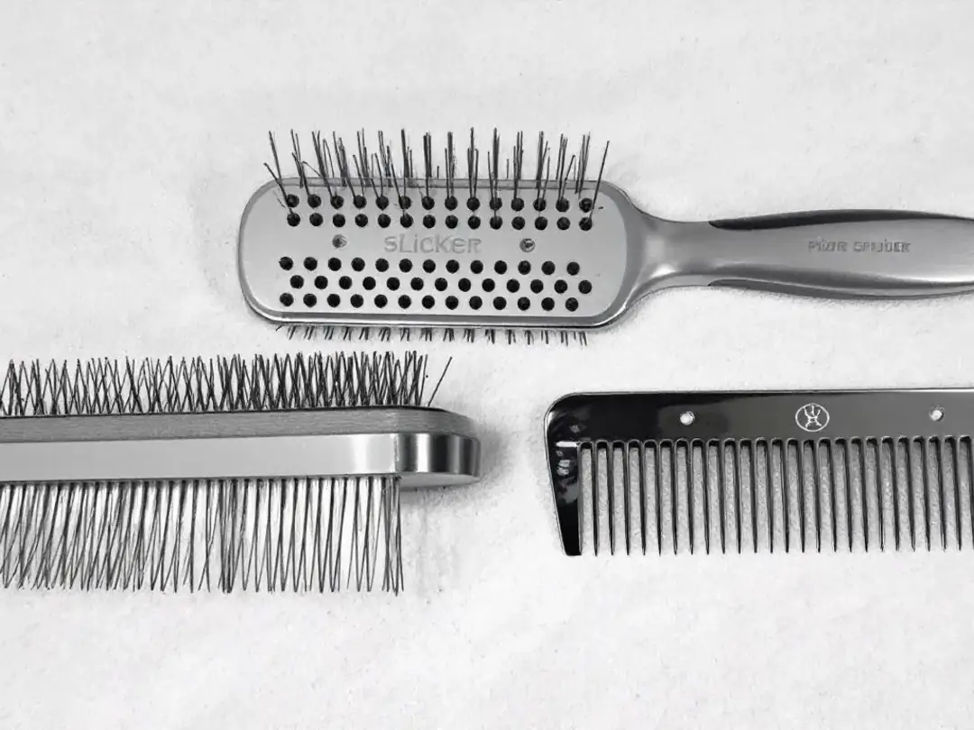 A collection of dog grooming tools, including a slicker brush, pin brush, and metal comb, is neatly arranged on a...