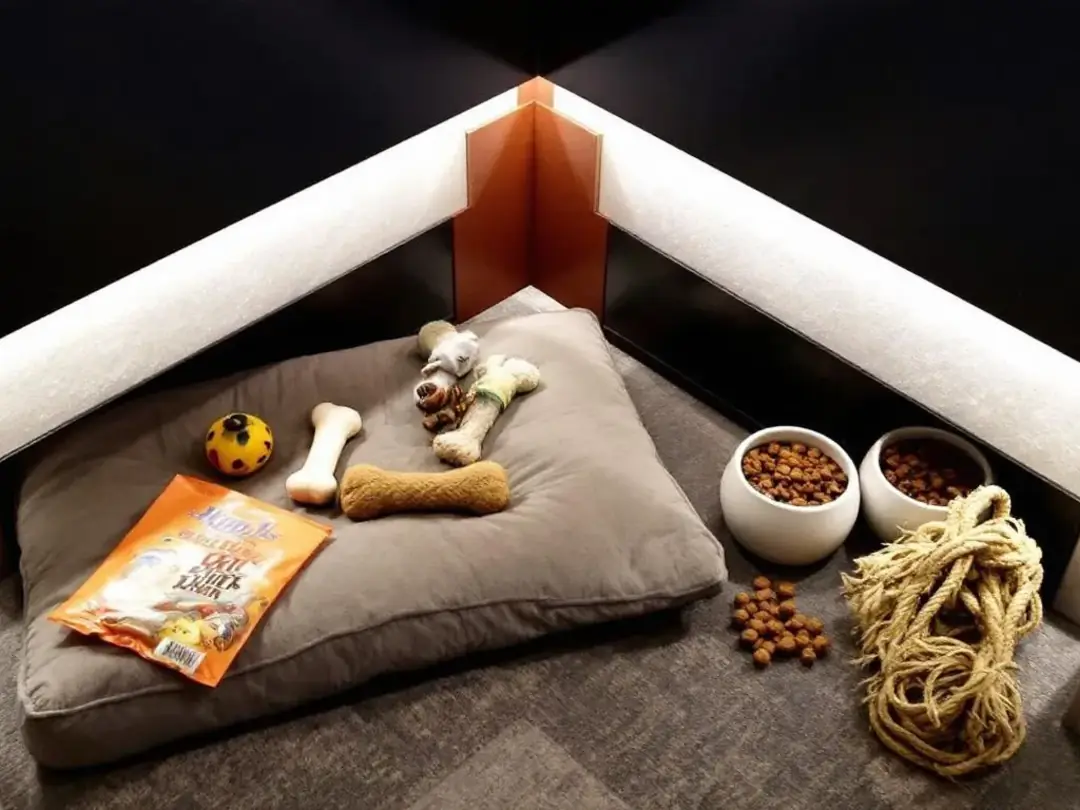 The image depicts a cozy hotel room featuring a designated corner for a dog, complete with a dog bed, food bowls, and...