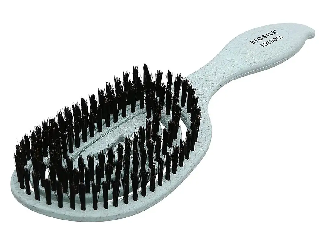 Dog brush