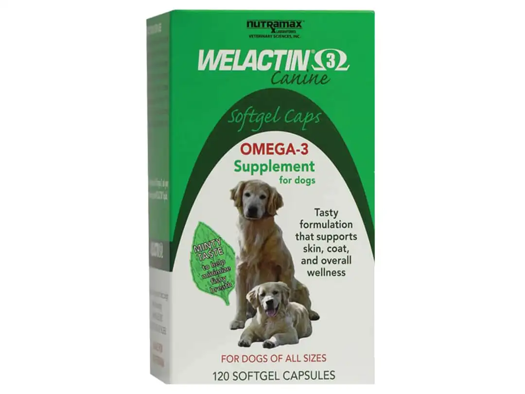 Omega 3 supplement