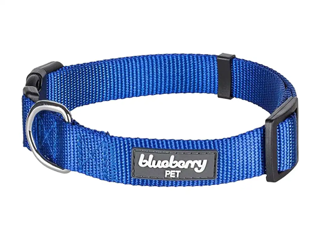 Dog collar