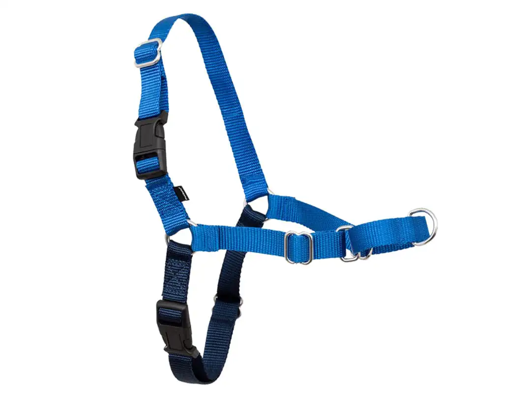 Dog harness