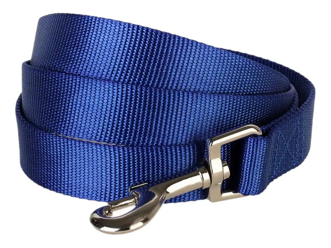 Dog leash