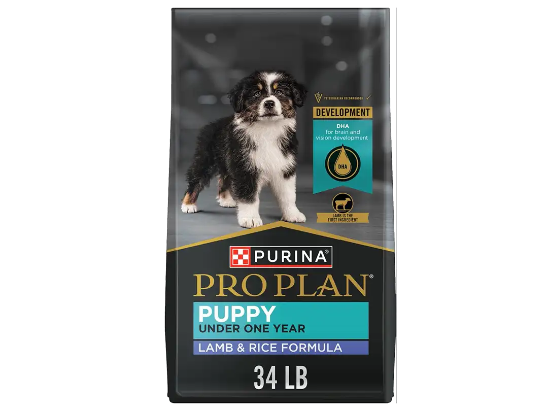 Puppy food