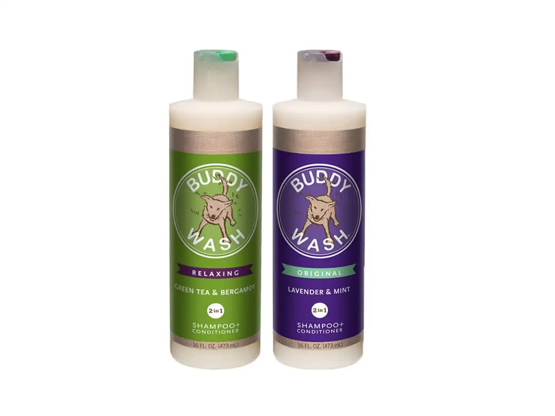 Shampoo and conditioner
