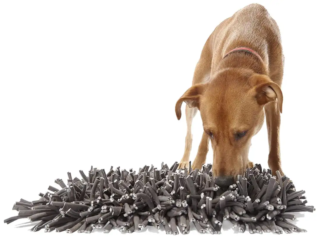 Wooly Snuffle