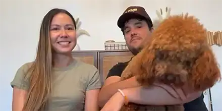 Video Testimonials — Goldendoodle
          Temperament